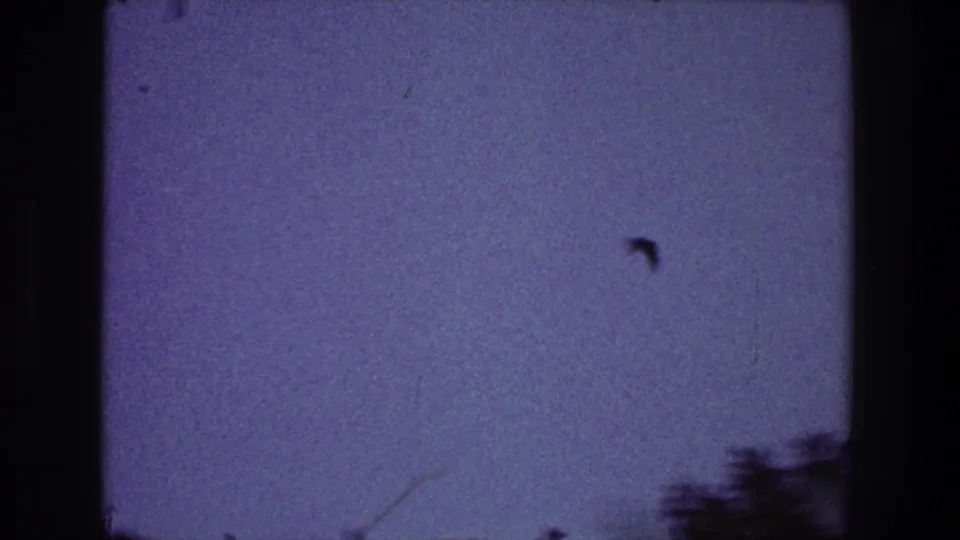 A small bird appears as a dark silhouette in the upper sky of a 1968 Toledo 8mm home-movie frame, with visible film grain and dark gate borders.
