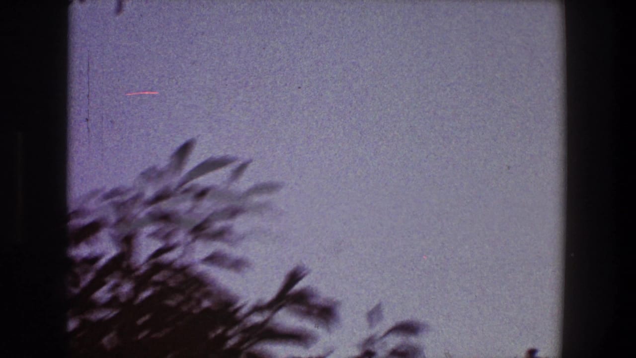 Blurred treetop edge and open sky within dark 8mm film borders.