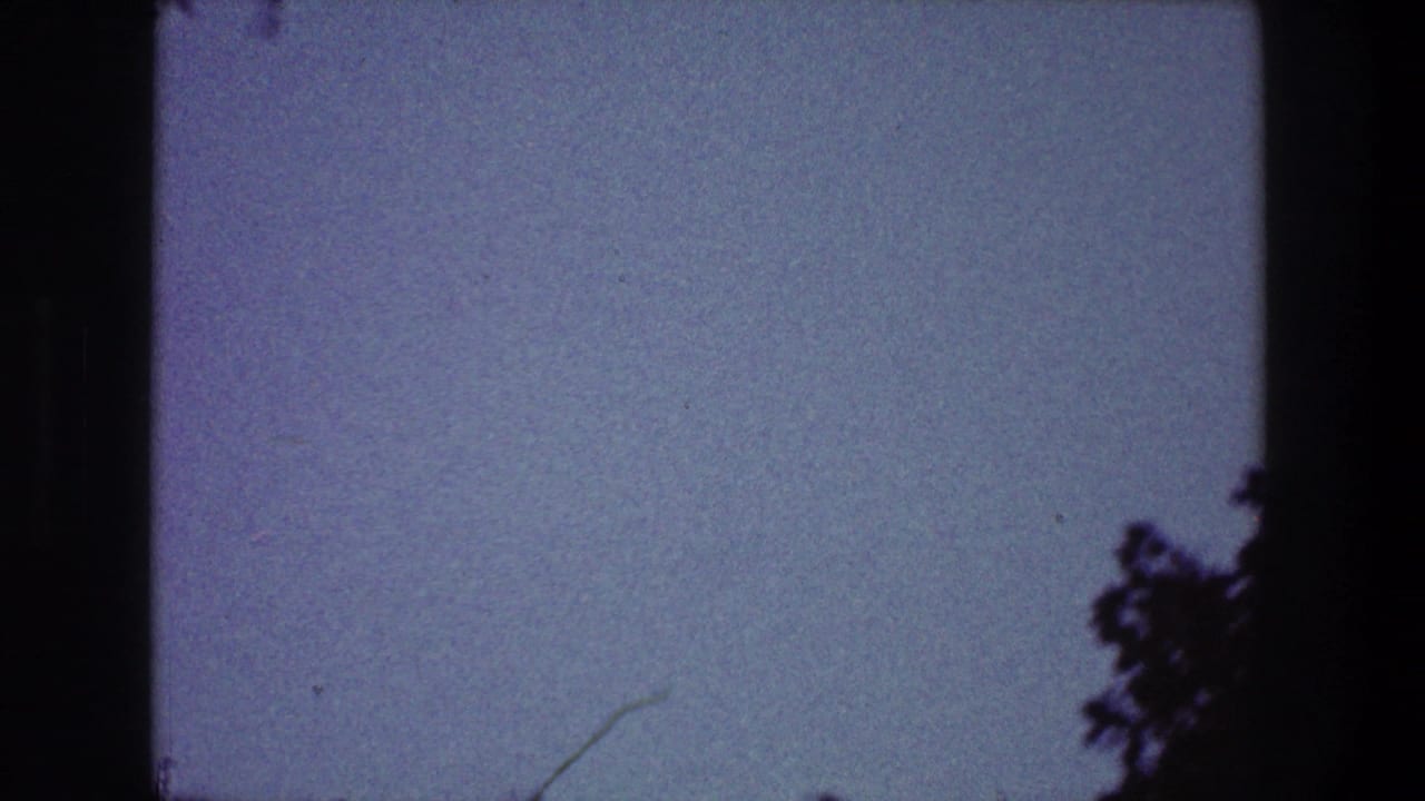 Mostly open blue sky with dark foliage at the right edge and lower horizon.