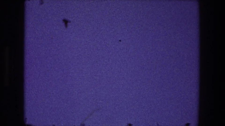 1968 Toledo home-movie frame with purple-blue sky, tiny birds in flight, faint lower branches, and visible film dust.