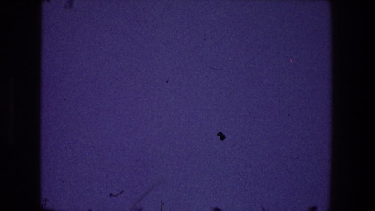 Mostly empty blue-purple frame with a small dark speck and visible film grain.