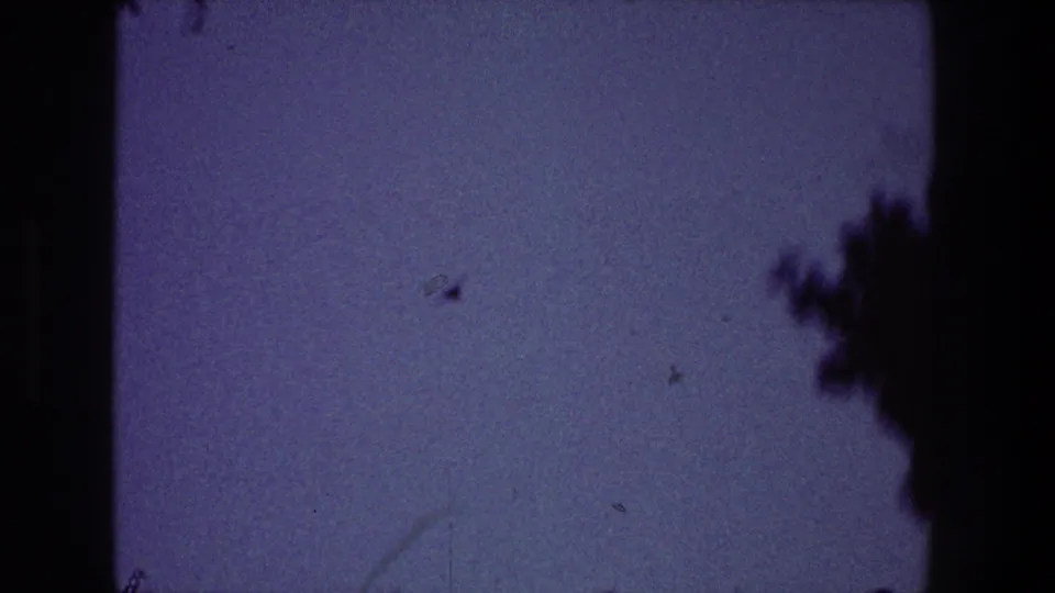 1968 Toledo 8mm frame with a blue-purple field, dust, scratches, and dark branch-like silhouettes entering from the right edge.