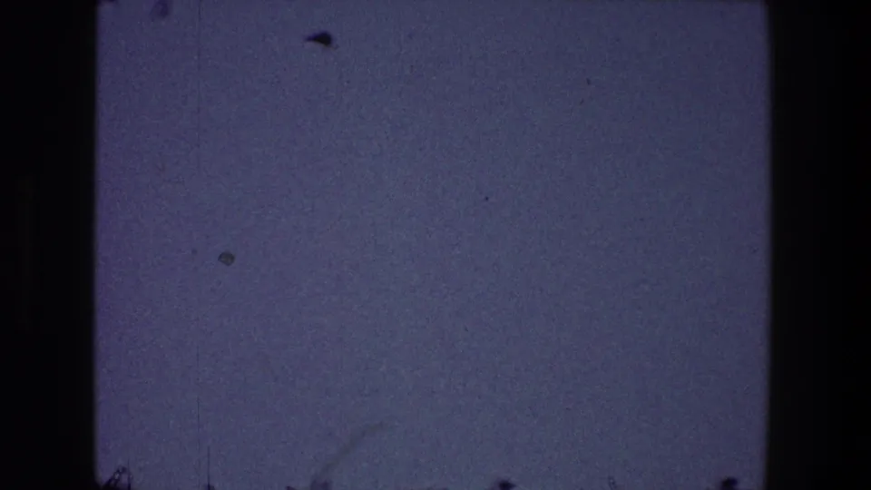 A small dark bird appears near the upper-left sky area in 1968 Toledo 8mm footage, surrounded by visible grain and dust.