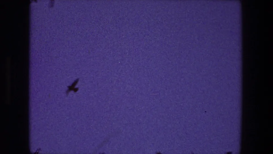 1968 Toledo 8mm frame with a small bird silhouette set against a darker purple sky, bordered by the film gate and visible dust marks.