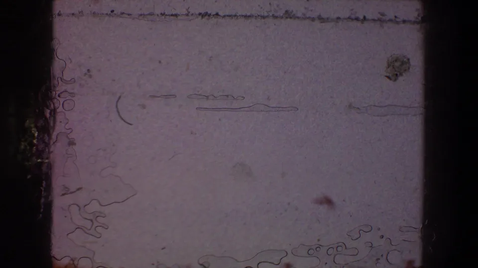 A pale 8mm frame from the 1968 Toledo clip shows scratches, dust, gate edge, and faint surface marks during the camera-fail moment.