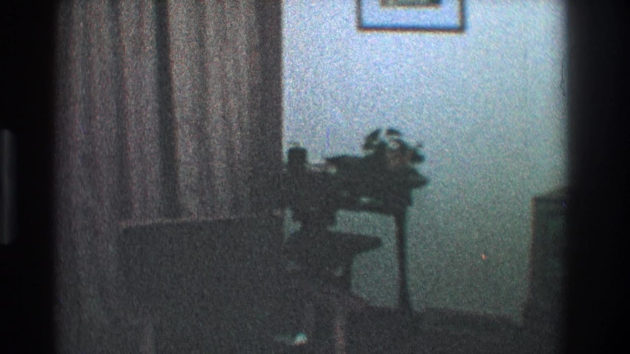 Side of a living room with wall decor, curtains, plant stand, and dark furniture.