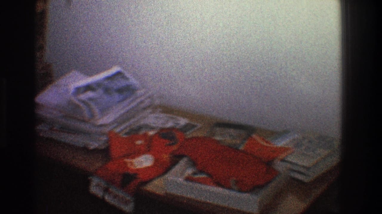 Tabletop with paper stacks, magazines, and a red stuffed object near a pale wall.