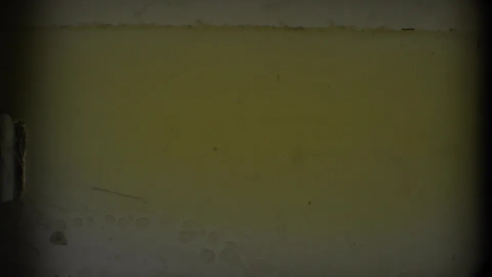 Grainy 8mm frame showing a pale interior wall above a darker lower panel in the 1968 Toledo home-movie scene.