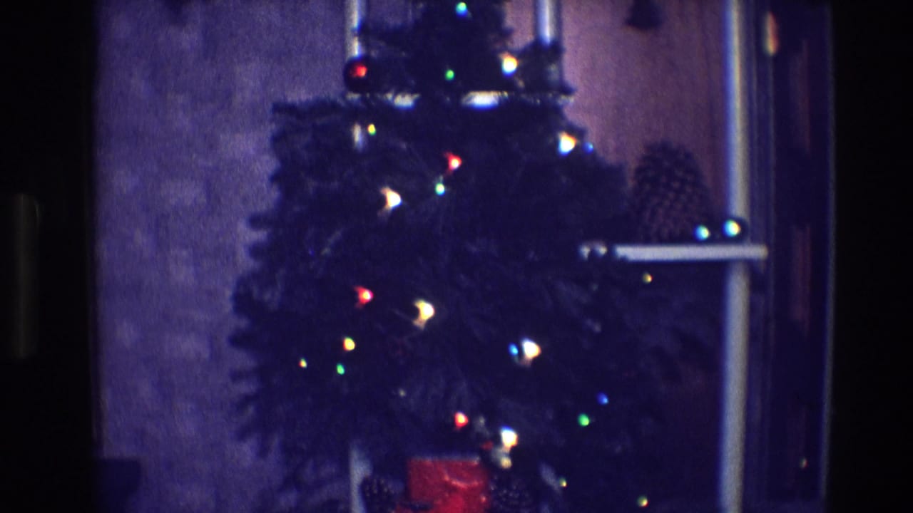 Christmas tree lights glowing in a dim room with pinecones behind the branches.