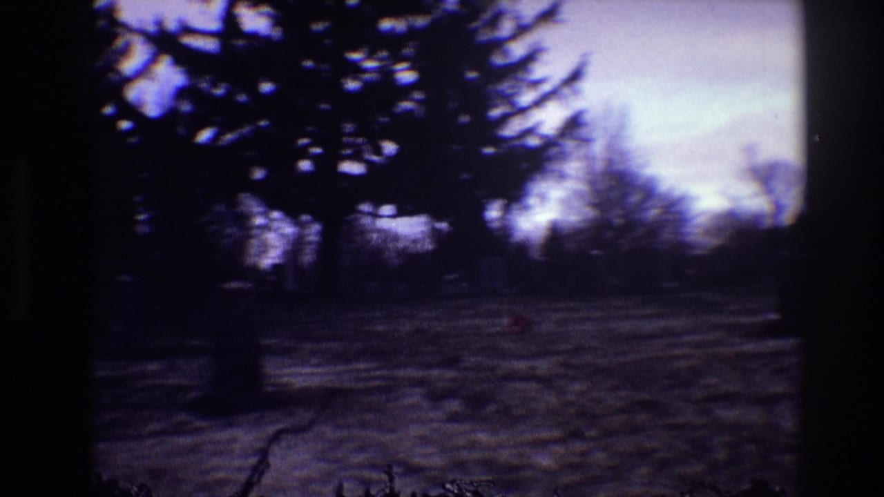 Cemetery landscape with dark evergreen branches, scattered markers, and fading sky.