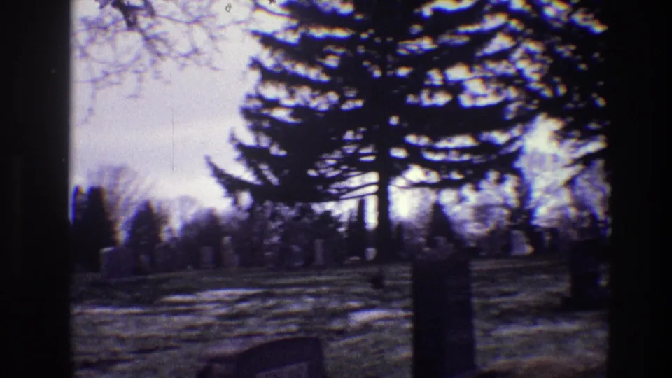 1968 Toledo cemetery frame with tall evergreens, bare trees, upright grave markers, and blue-purple low-light film color.