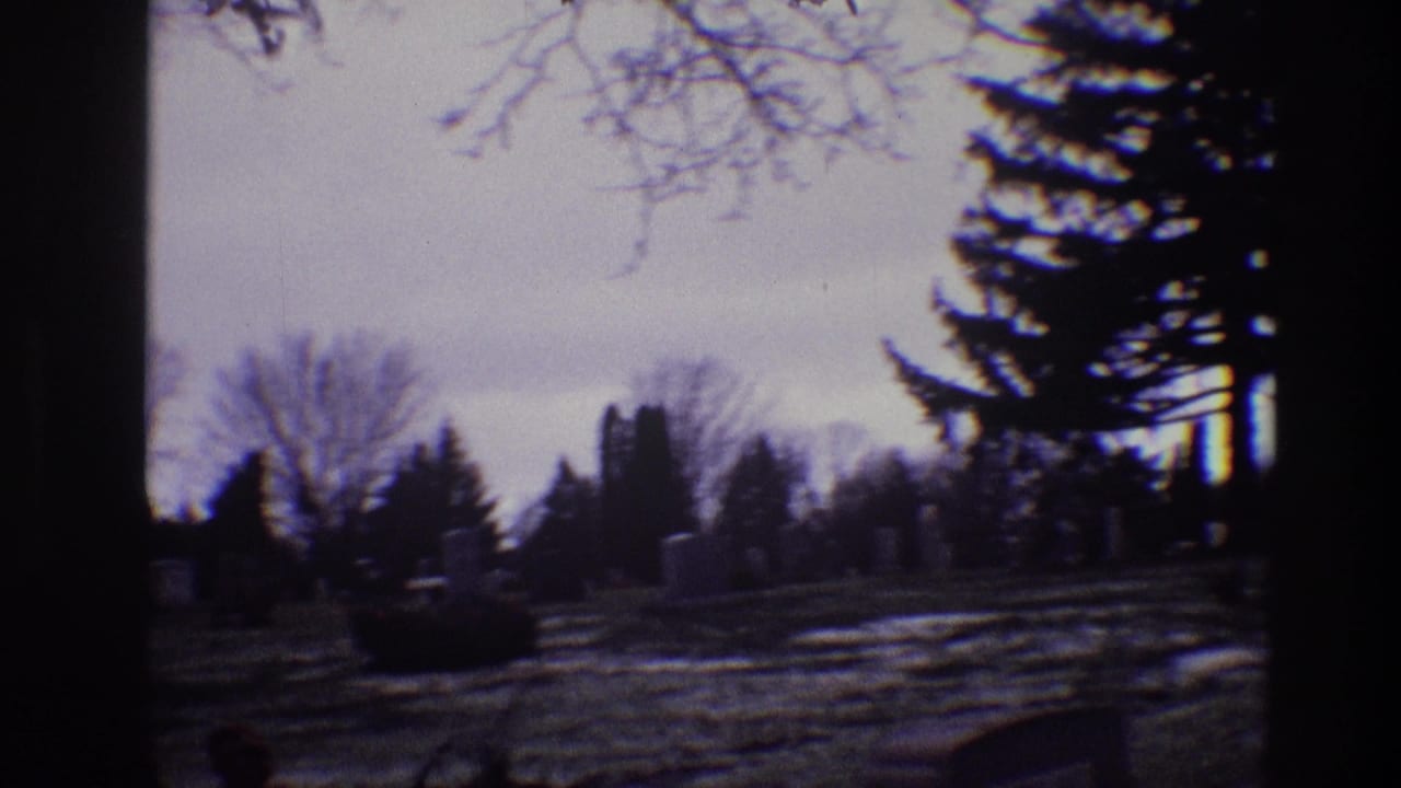 Winter cemetery with leafless trees, evergreens, grave markers, and a dark tree trunk in the foreground.
