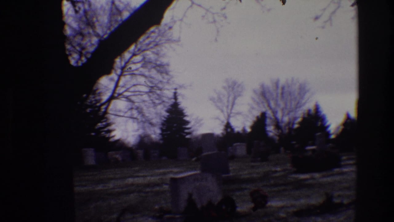 Cemetery grounds with gravestones, bare trees, evergreens, and a large dark tree trunk near center.