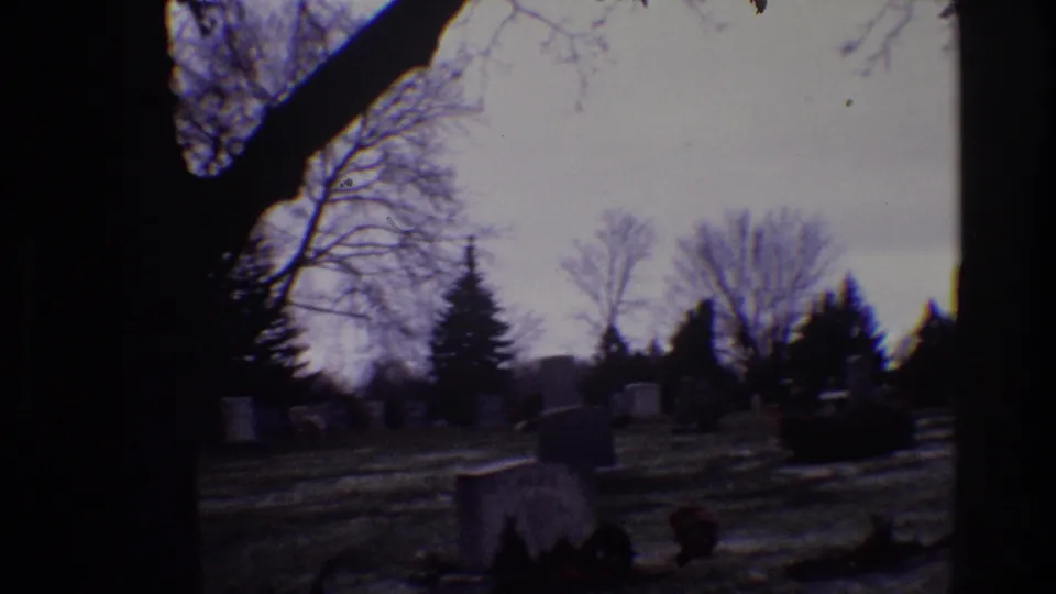 1968 Toledo cemetery view with a large silhouetted tree trunk, winter grass, distant gravestones, bare trees, and evergreens.