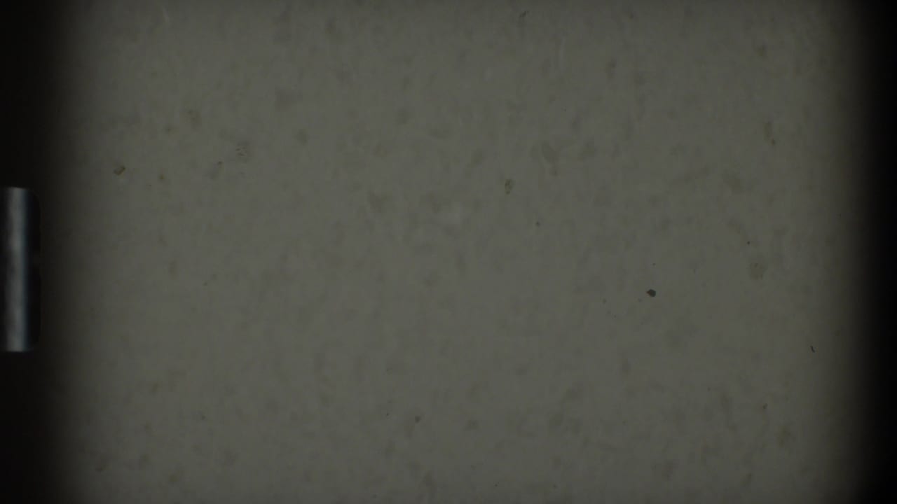 Dim off-white 8mm frame with dark edges, dust specks, and sprocket-area shadow at the left edge.