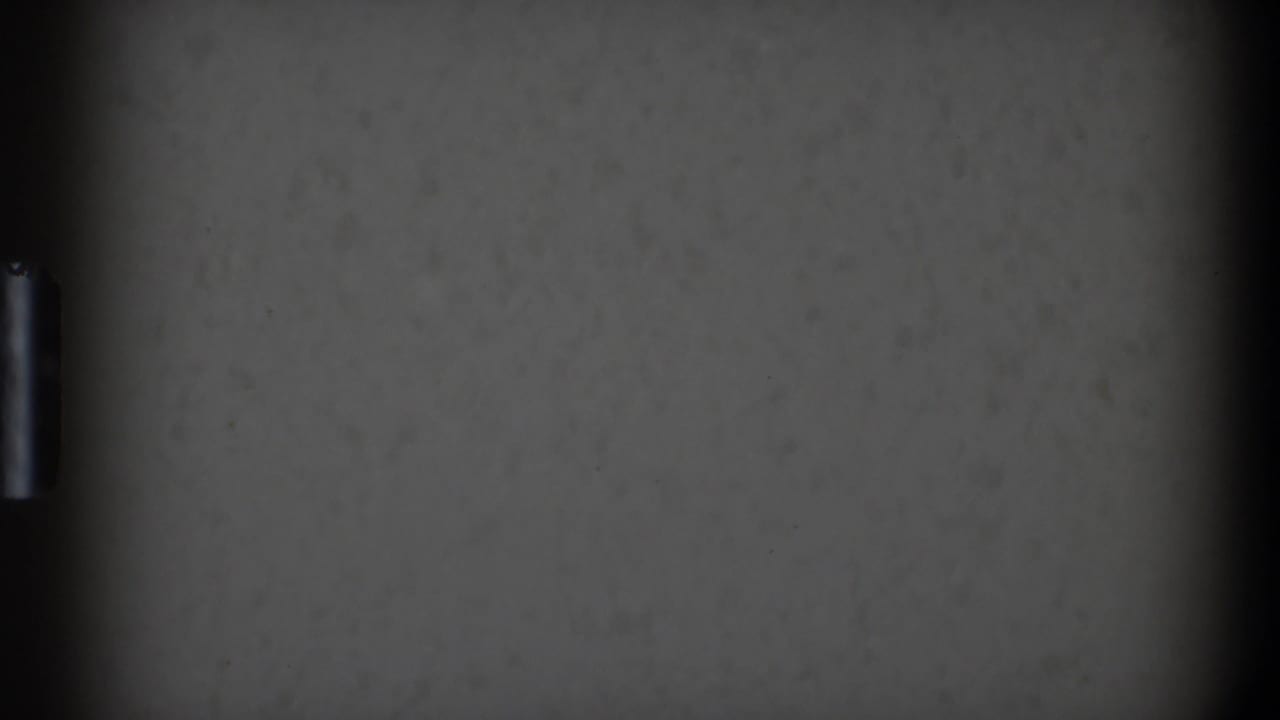 Gray surface divided by a dark vertical band with a small bright mark near center.