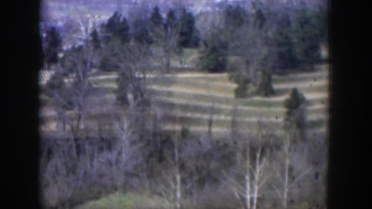 Distant grassy grounds with scattered trees and bare branches in the foreground.