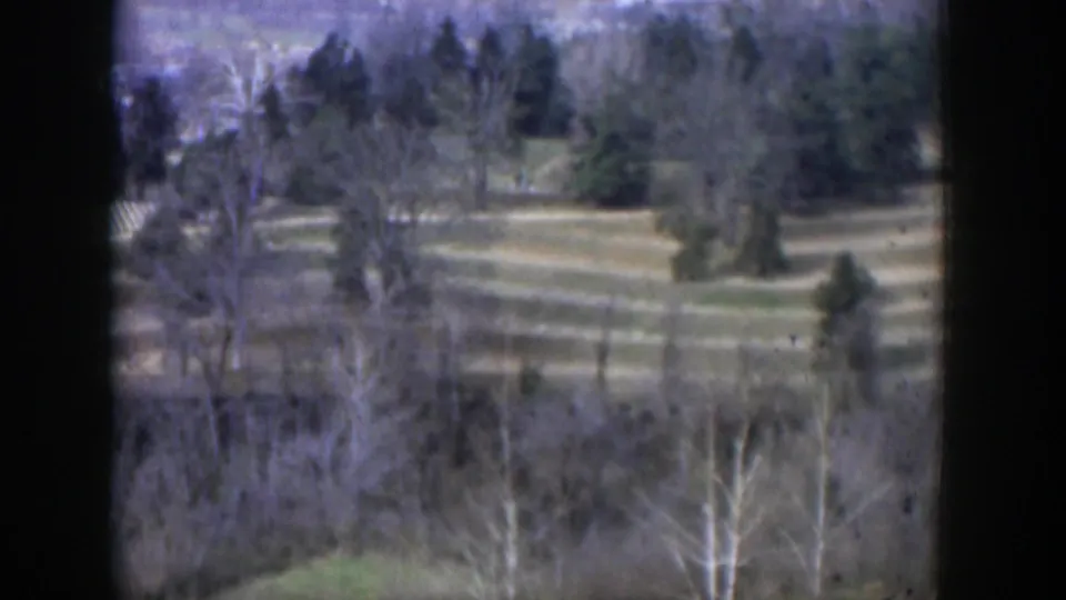 1951 Texas home-movie view of open grass, scattered trees, and pale paths seen through soft 8mm color grain.