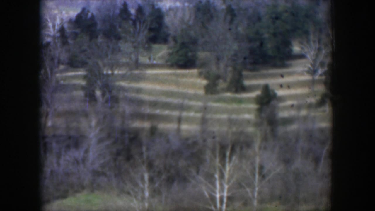Open grassy landscape with trees, pale paths, and dark film edges.