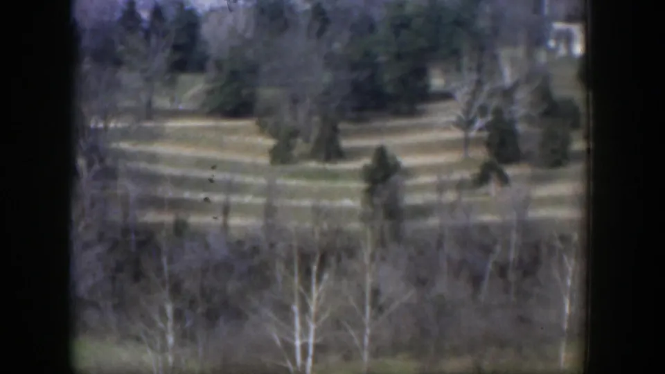 1951 Texas rural view with grass, scattered trees, foreground branches, and a small distant light structure partly visible.