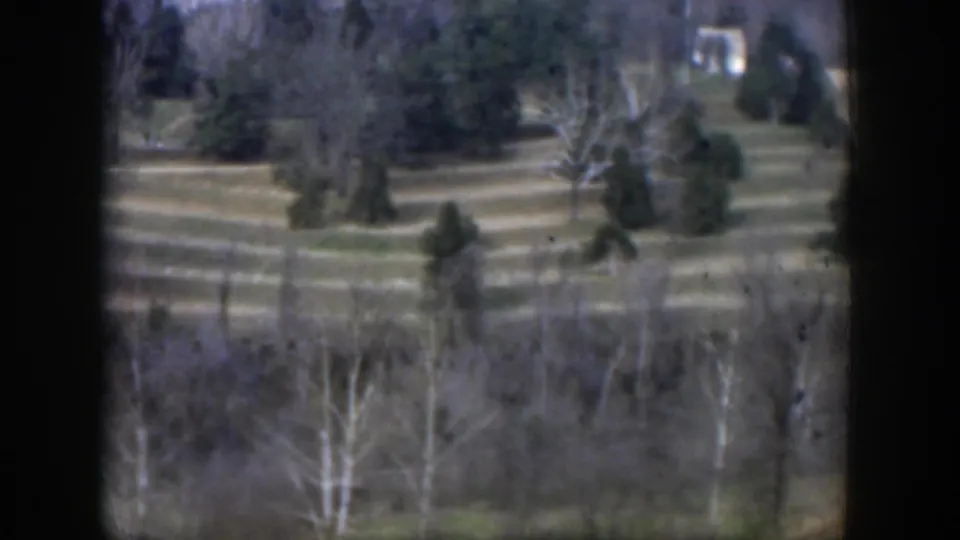 Texas 1951 home-movie frame showing grassy grounds, evergreens, bare trees, and pale paths under daylight.