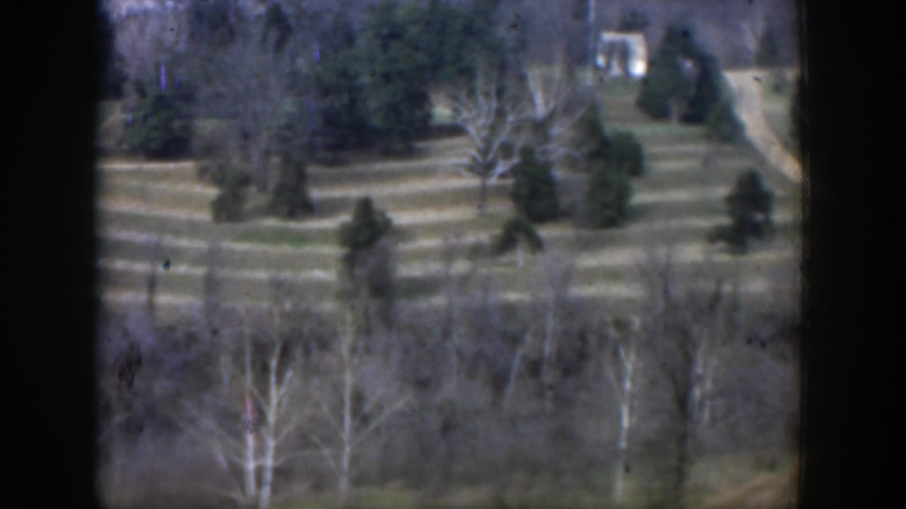 1951 Texas 8mm frame showing terraced winter grass, scattered evergreens, bare trees, and a small distant white structure.