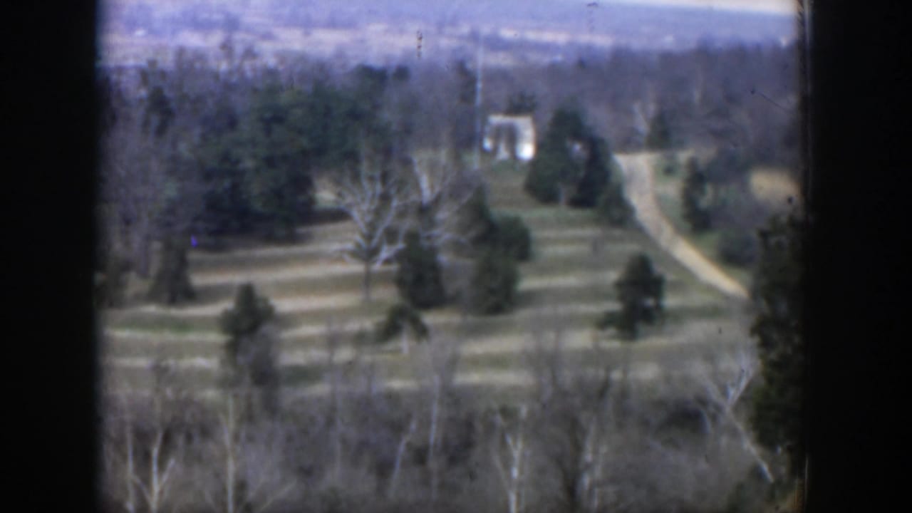 Wide view of a terraced slope with trees, a curving path, and distant buildings.