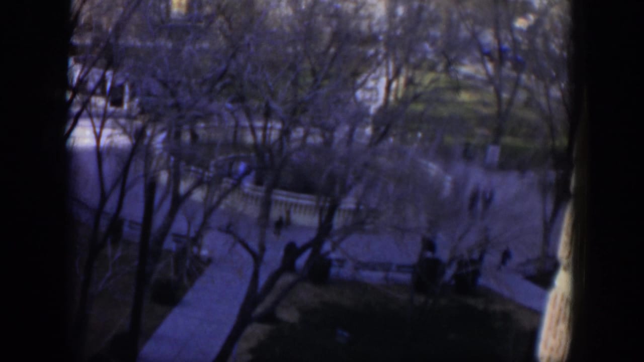 High-angle view of shaded walkways, bare trees, white railings, and small pedestrians below.