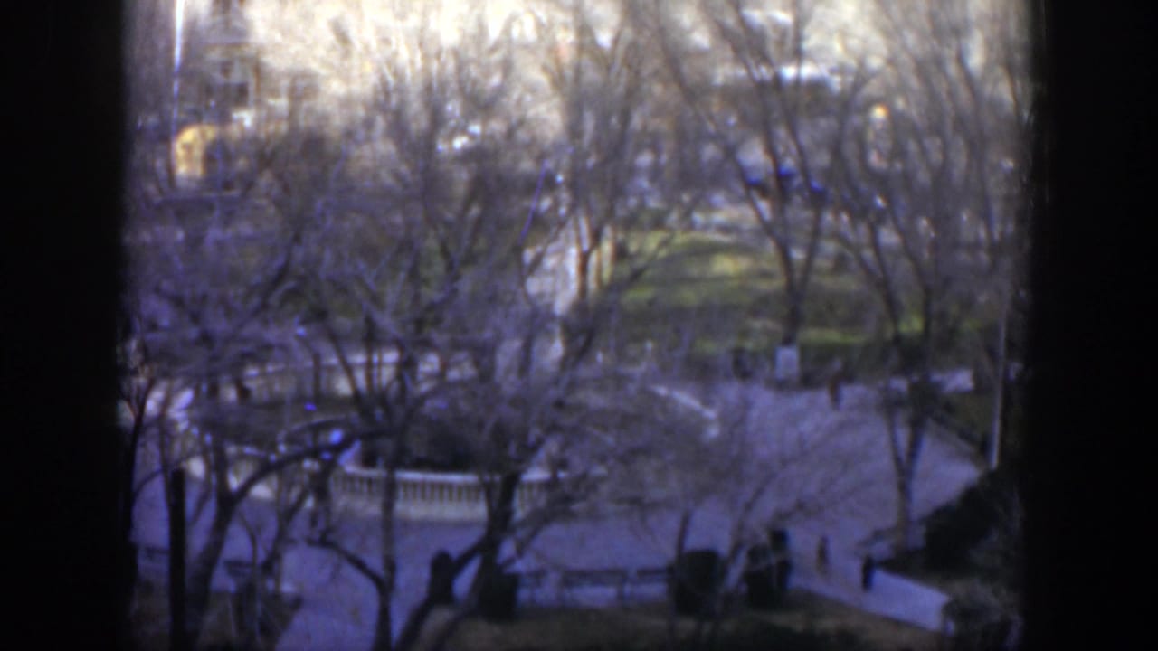 1951 Texas park view from above, with curving paths, bare trees, distant walkers, and dark window framing across the foreground.