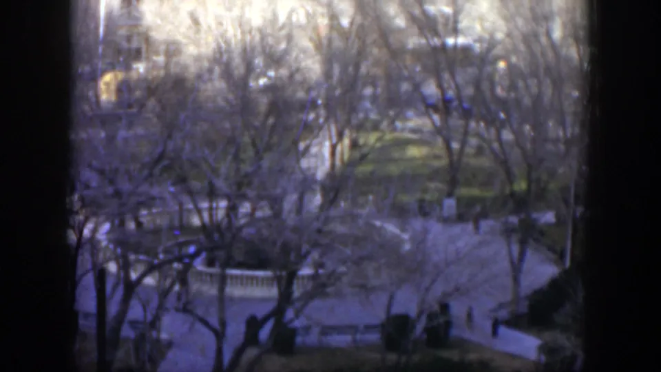 1951 Texas park view from above, with curving paths, bare trees, distant walkers, and dark window framing across the foreground.