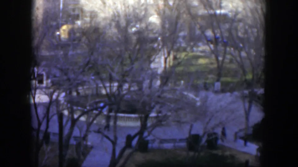 An elevated 1951 Texas park frame shows bare trees, a pale walkway, low stone edging, lawn, and a few distant pedestrians.