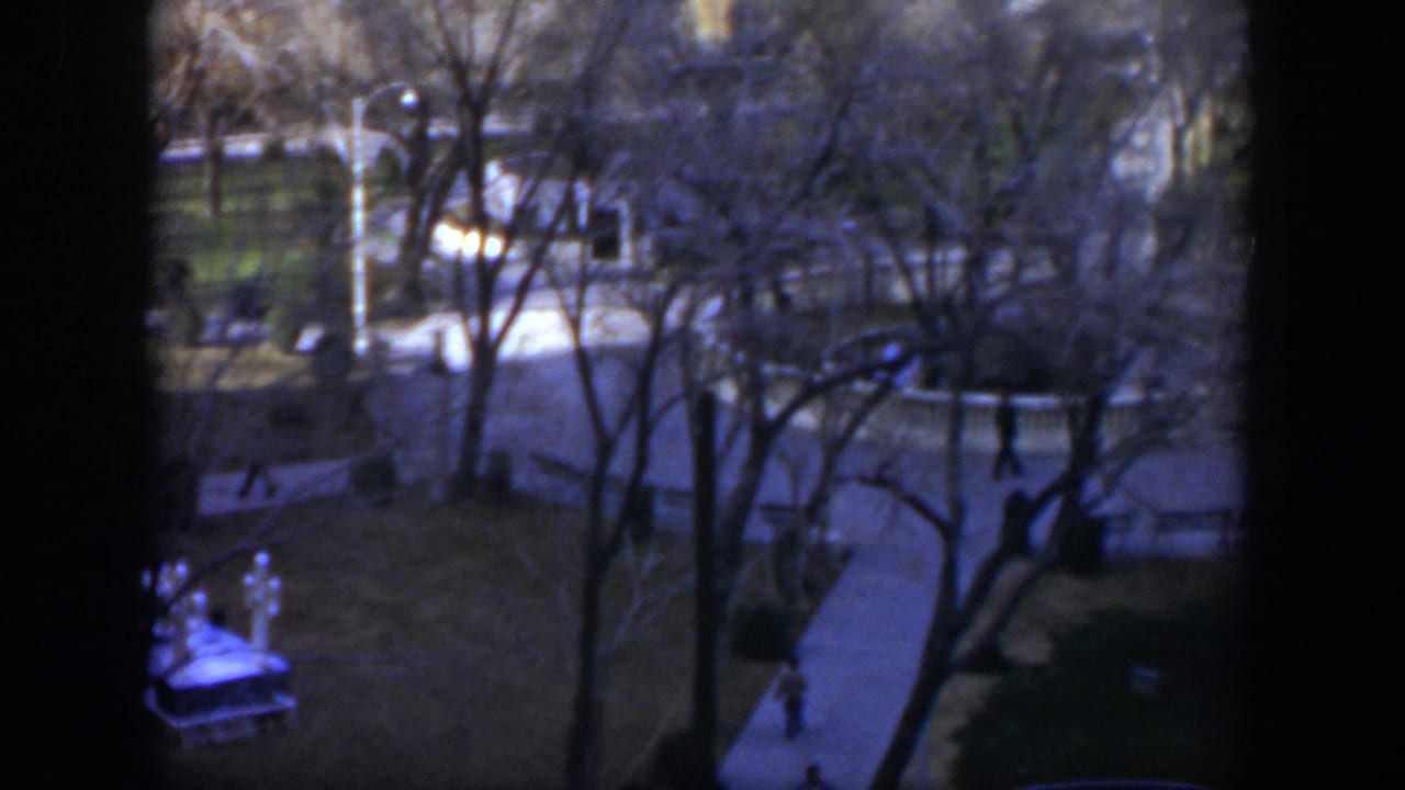 High-angle park view through dark window frames with bare trees, sidewalks, lamps, and a distant walker.