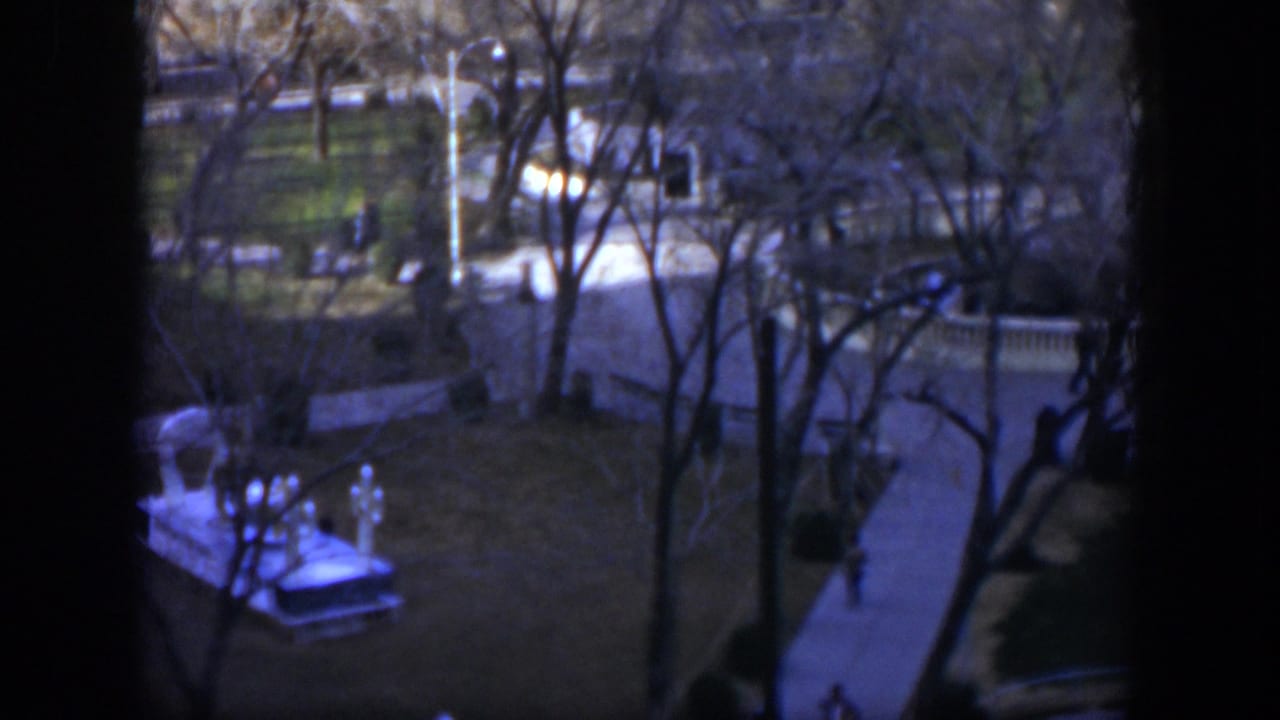 Park paths and bare trees seen through a window frame, with a white monument-like structure in the lower left.