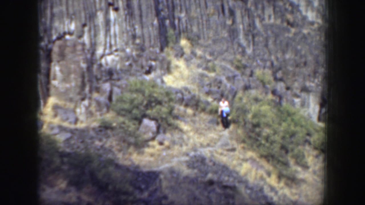 Person in a white shirt standing or walking on a rocky path among shrubs.