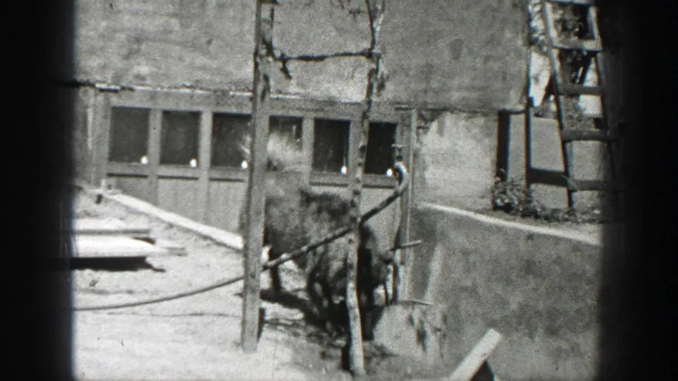 Black-and-white 1937 California frame with a ladder, stucco exterior, low wall, and small dark dog near the building.