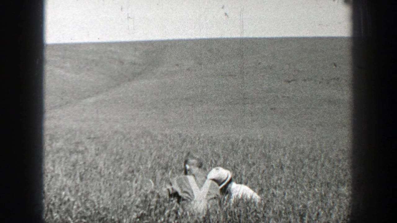 Man crouching in a tall field beneath an open horizon.