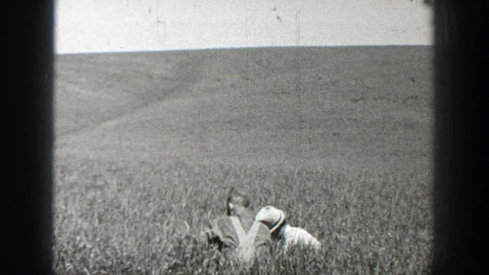 1937 California 8mm frame showing a man in a brimmed hat crouched among tall field growth under a bright sky.