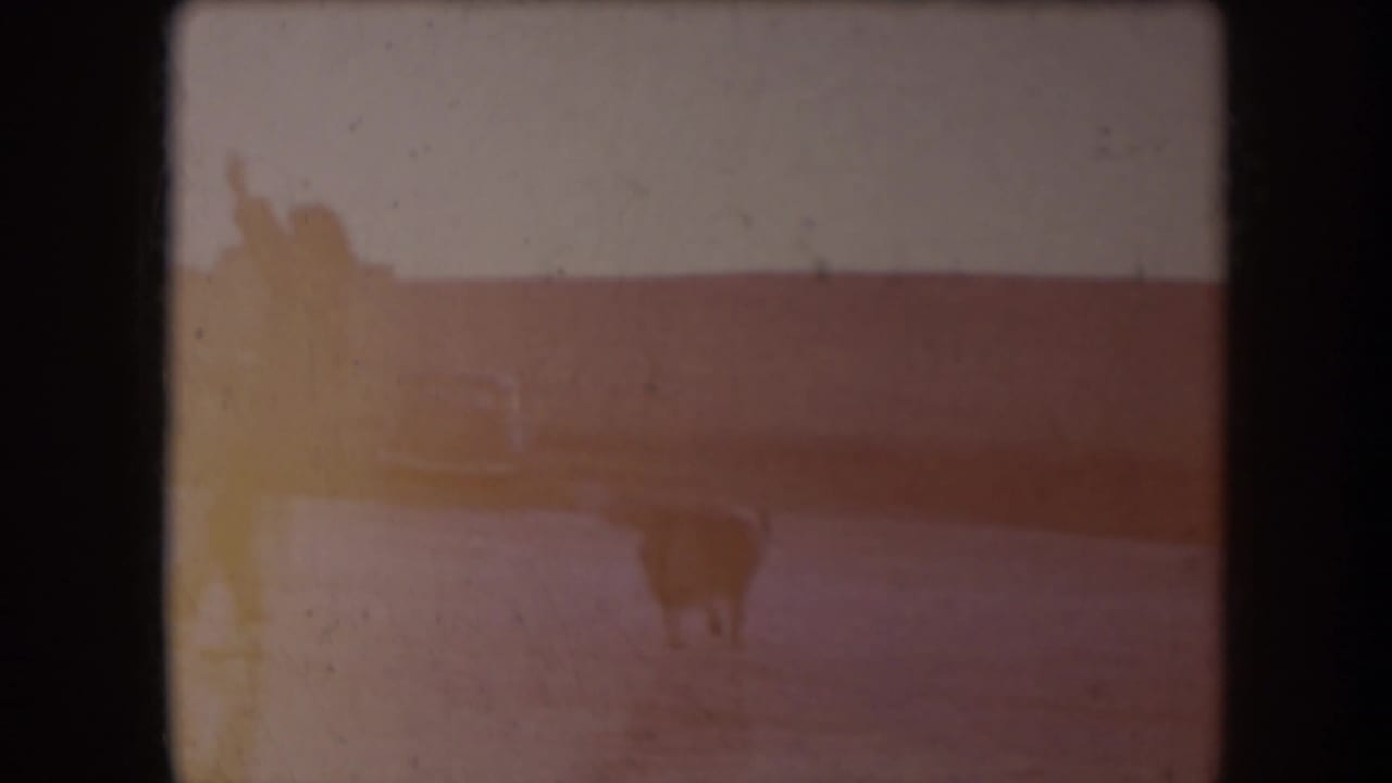1953 North Dakota home-movie frame with two distant adults on ice under a pale winter sky, softened by exposure flare.