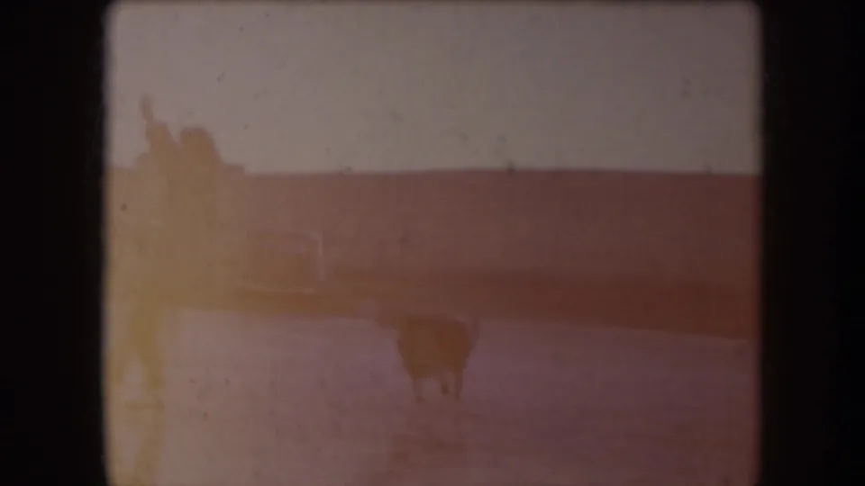 1953 North Dakota home-movie frame with two distant adults on ice under a pale winter sky, softened by exposure flare.