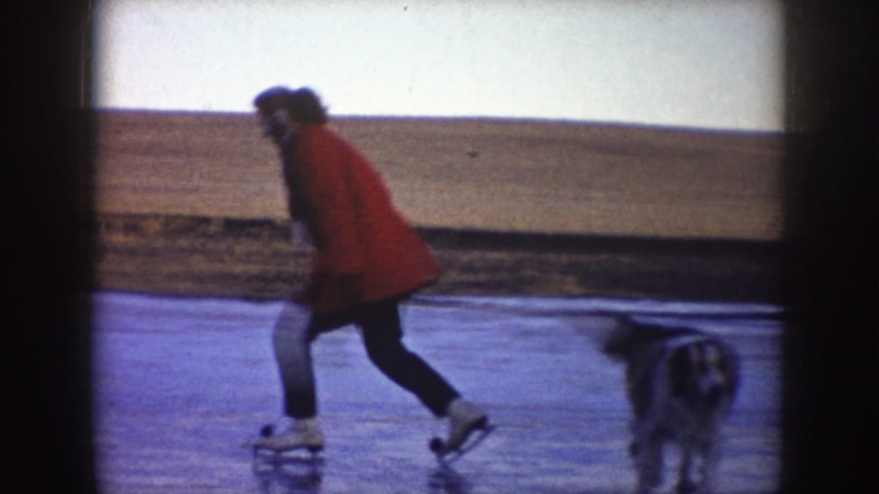 Two skaters move across a frozen pond while a dog stands near the foreground.