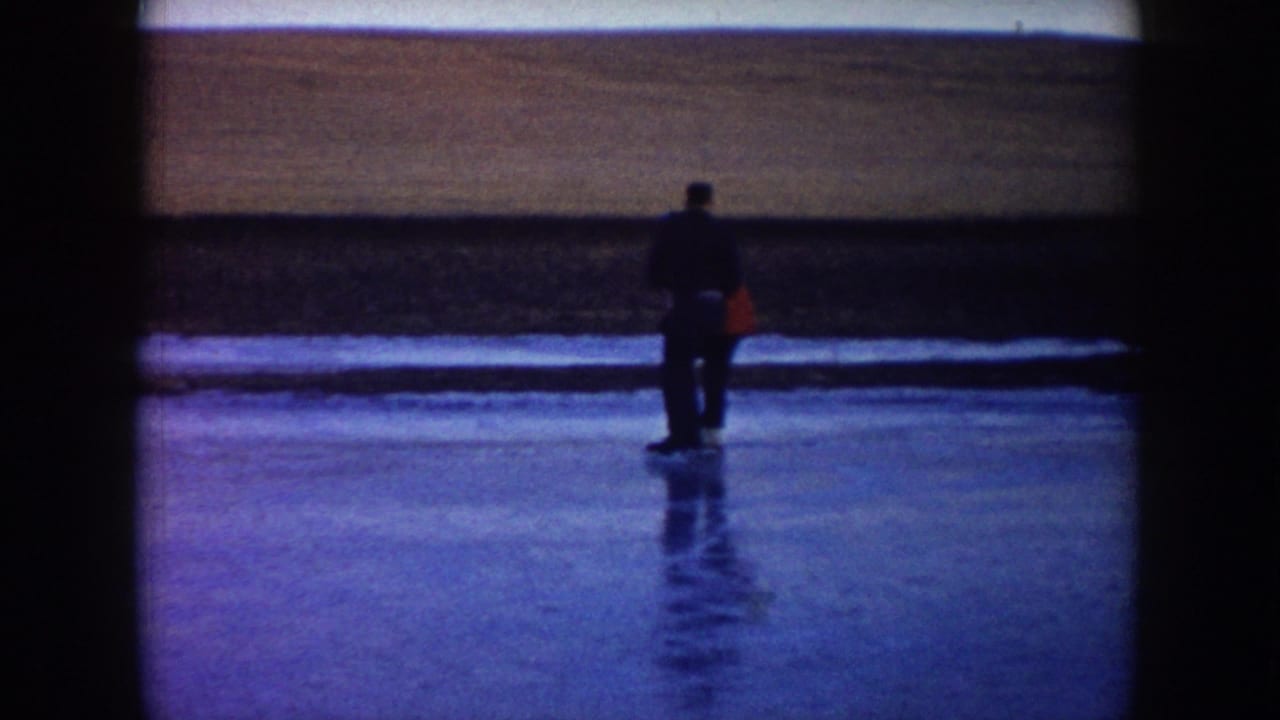 A skater in dark clothing stands on a frozen surface near a low shoreline.