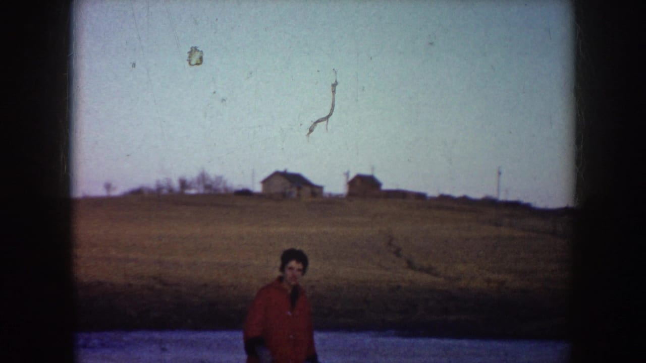 Woman in a red coat stands or skates on pond ice with grassy bank and small houses behind her.