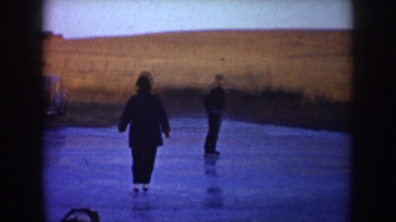 Two skaters move across a frozen pond with open fields behind them.