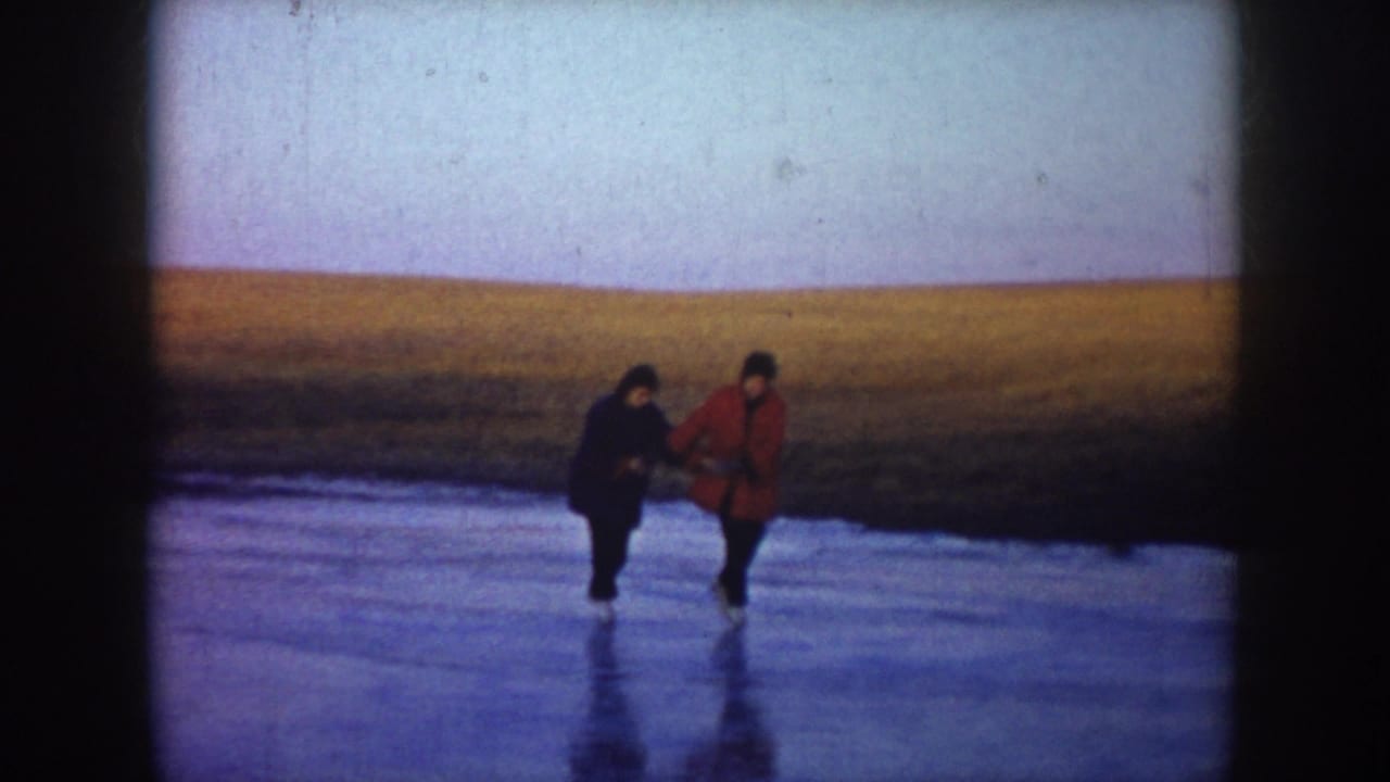 Two skaters hold hands on a frozen lake with open fields behind them.