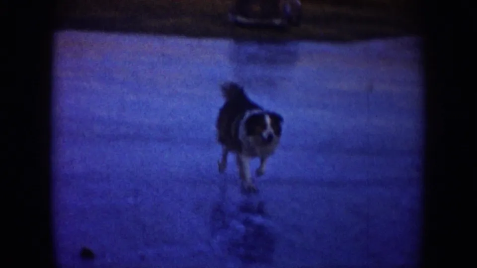 A dog runs on the frozen pond toward the camera in the 1953 North Dakota home-movie scene, framed by dark 8mm edges.