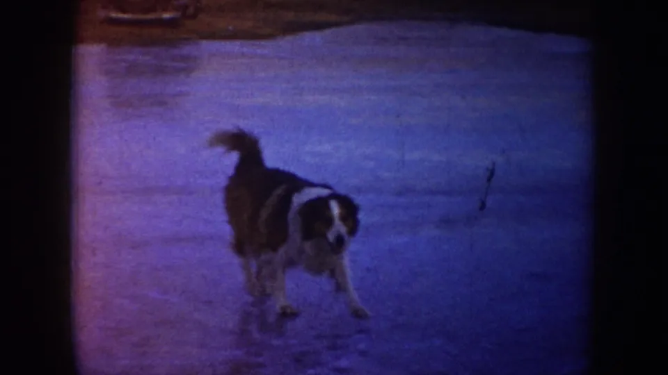 In 1953 North Dakota home-movie footage, a dog stands on a blue-toned frozen surface during an outdoor winter scene.