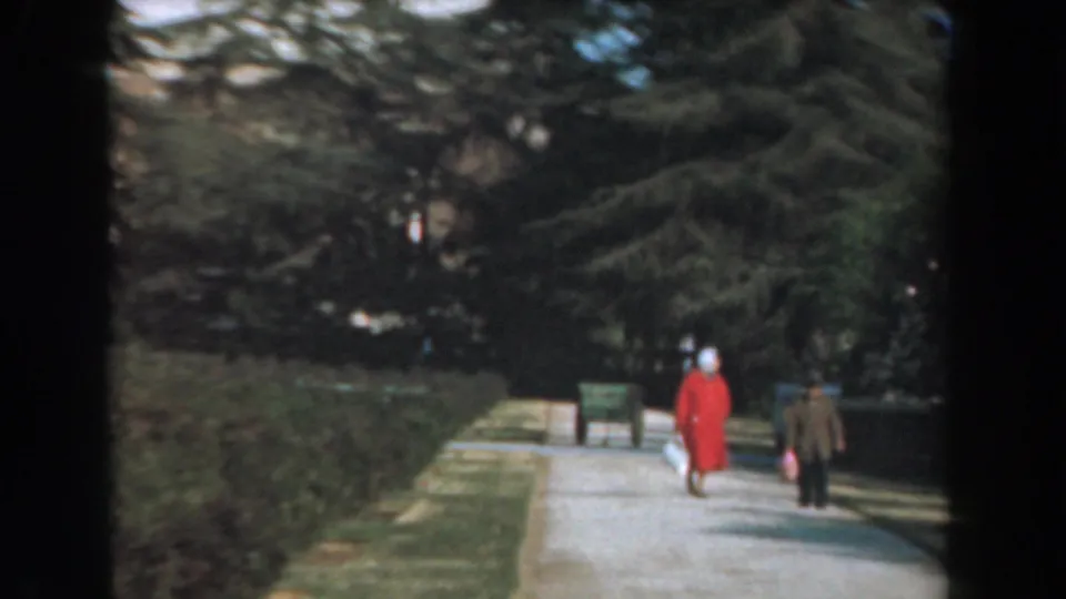 1961 Los Angeles home-movie frame showing a paved walkway bordered by hedges, lawn, benches, and mature trees on campus-like grounds.