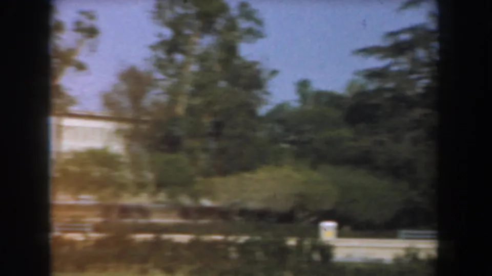 1961 Los Angeles 8mm view of landscaped grounds with trees, shrubs, lawn, and a pale building or wall partially visible.