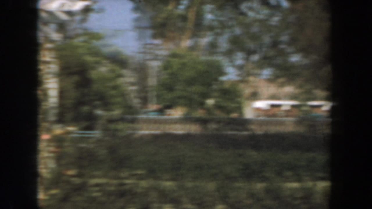 Blurred moving view of trees, hedges, a road edge, and pale structures beyond.