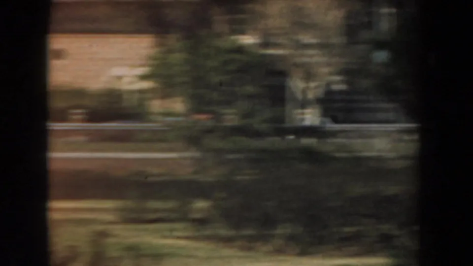 Moving 8mm view in Los Angeles with trees, landscaped planting, a road edge, and a pale building beyond.
